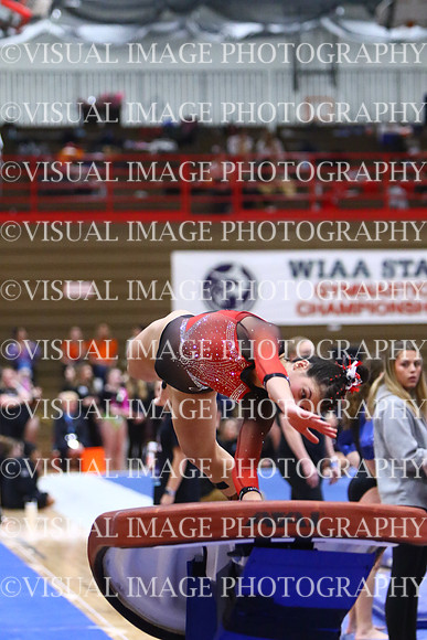 WIGYMG25_VAULT_I031