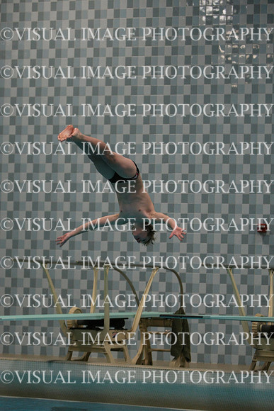 wisw10_dive_1004