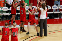 ilbkg_09_s12009