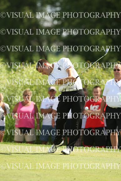 wigf_10_i2015
