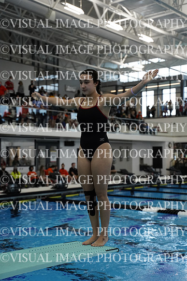 ILSWG21_DIVE_F005