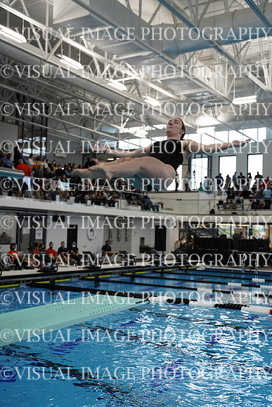 ILSWG21_DIVE_F003