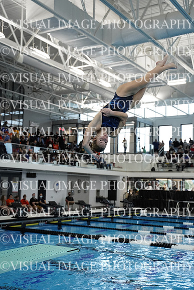 ILSWG21_DIVE_F012
