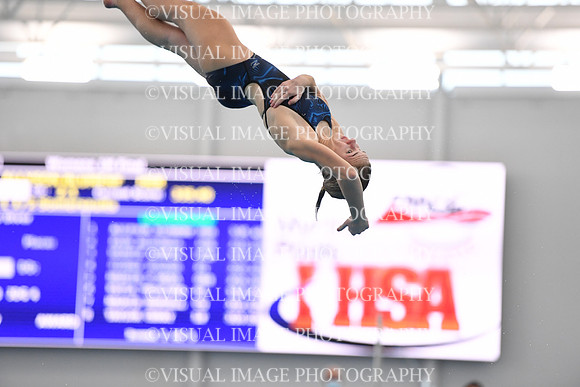 ILSWG21_DIVE_F017