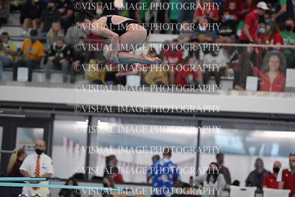 ILSWG21_DIVE_F019