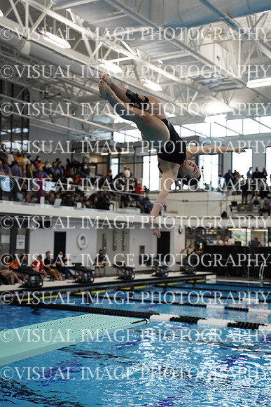 ILSWG21_DIVE_F023