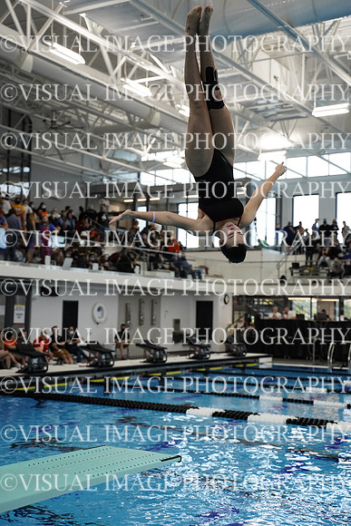 ILSWG21_DIVE_F024
