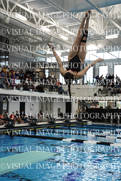 ILSWG21_DIVE_F025