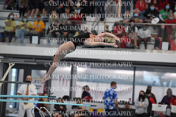ILSWG21_DIVE_F026