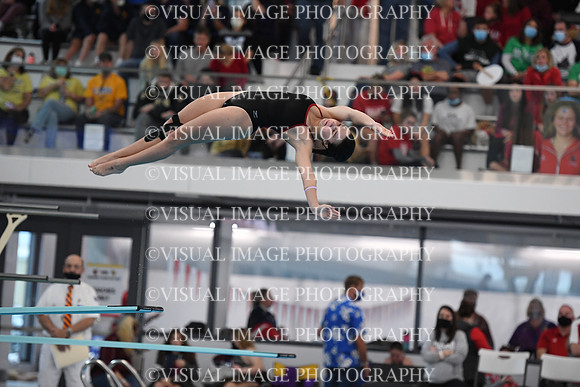 ILSWG21_DIVE_F027