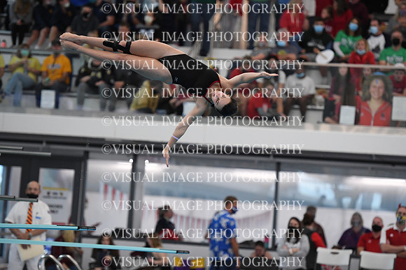ILSWG21_DIVE_F028