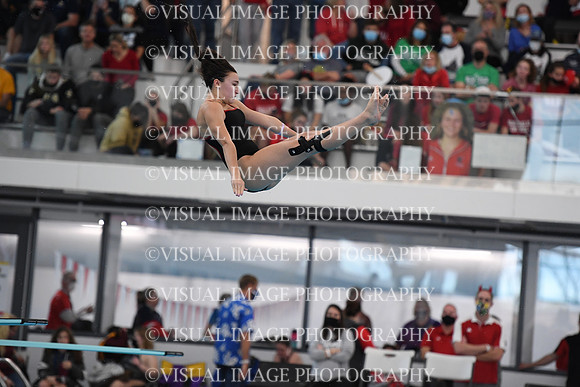 ILSWG21_DIVE_F029