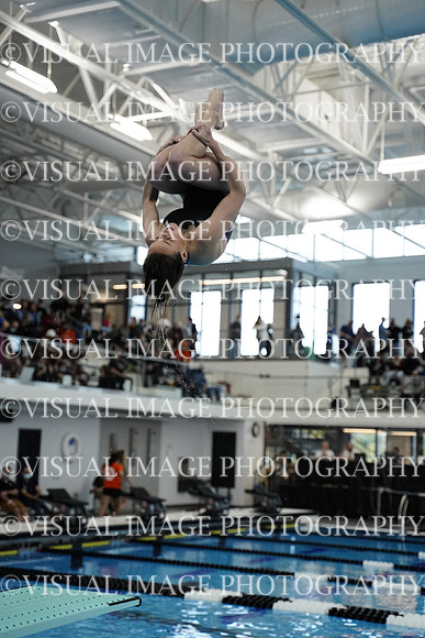 ILSWG21_DIVE_F031
