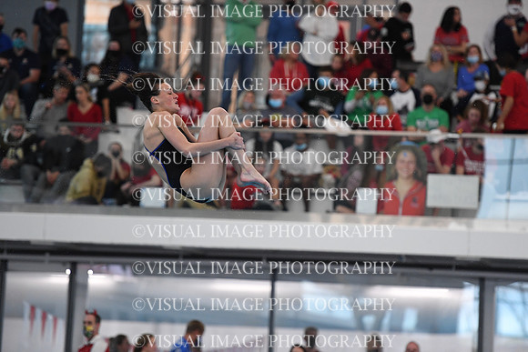 ILSWG21_DIVE_F032