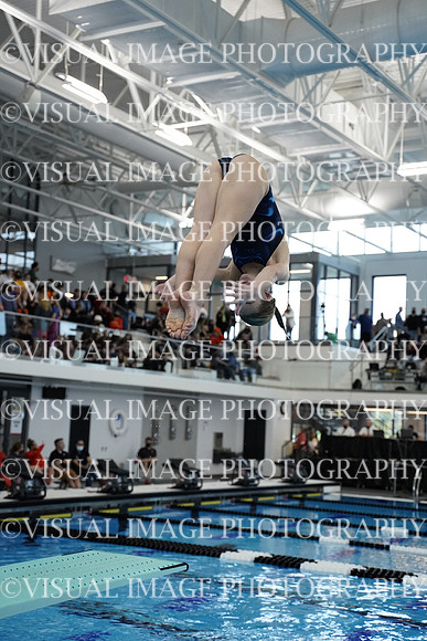 ILSWG21_DIVE_F033