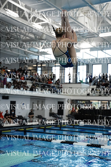 ILSWG21_DIVE_F035
