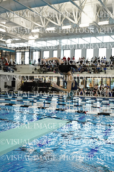 ILSWG21_DIVE_F038