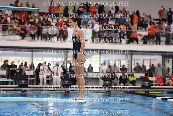 ILSWG21_DIVE_F039