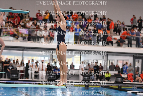 ILSWG21_DIVE_F040