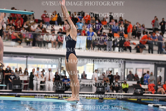 ILSWG21_DIVE_F041