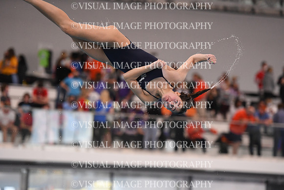 ILSWG21_DIVE_F042