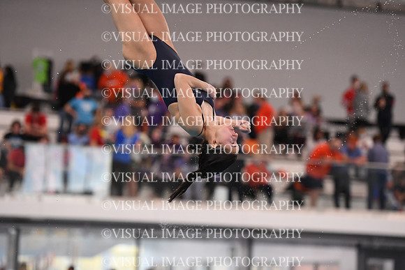 ILSWG21_DIVE_F043