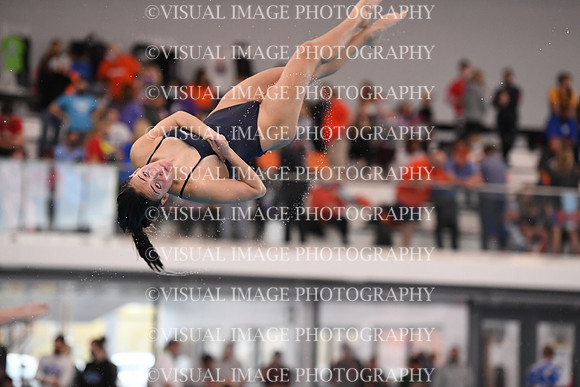 ILSWG21_DIVE_F044
