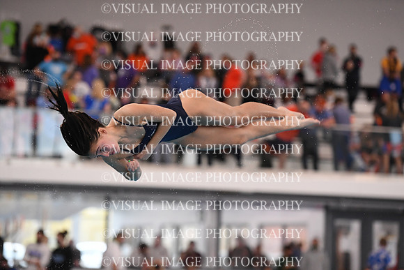 ILSWG21_DIVE_F045