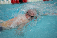 wisw10_2free_2008