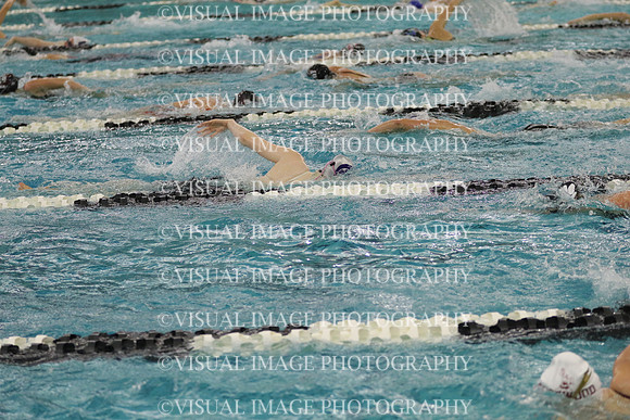 WISWG21_SWIM_20004