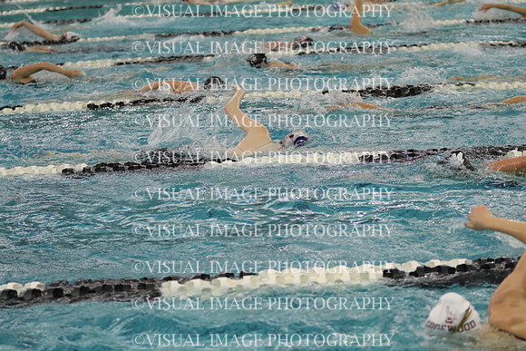 WISWG21_SWIM_20005