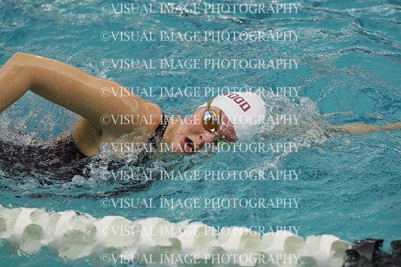 WISWG21_SWIM_20008
