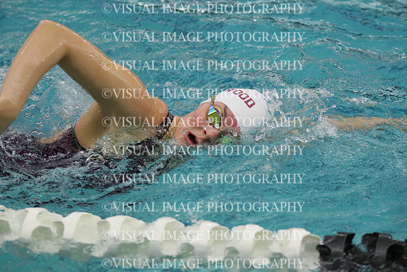 WISWG21_SWIM_20009