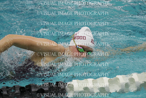 WISWG21_SWIM_20011