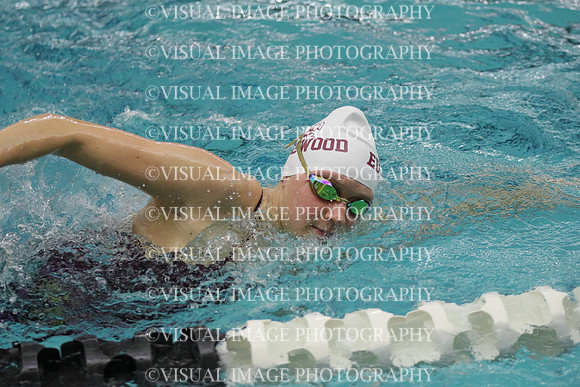 WISWG21_SWIM_20012