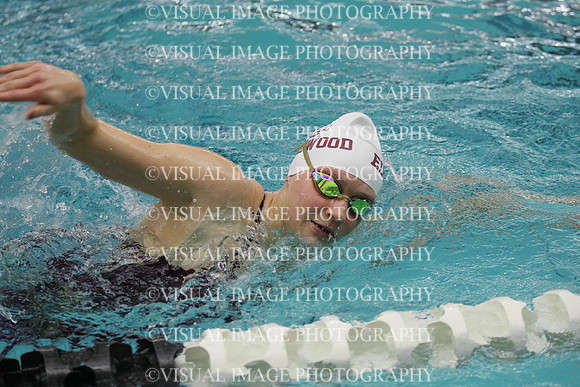 WISWG21_SWIM_20013