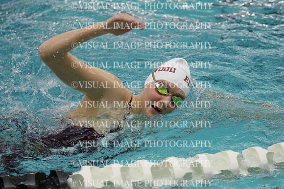 WISWG21_SWIM_20014