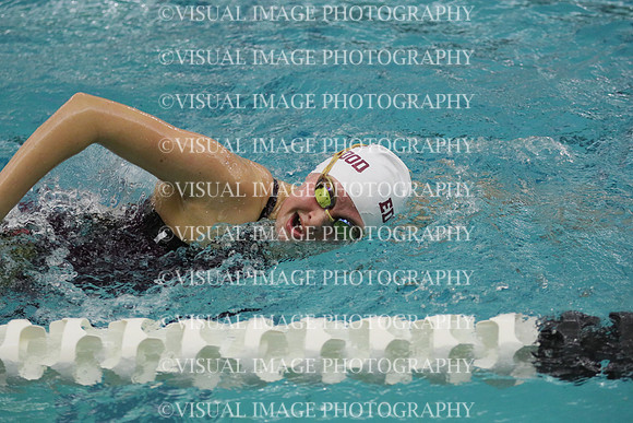 WISWG21_SWIM_20019