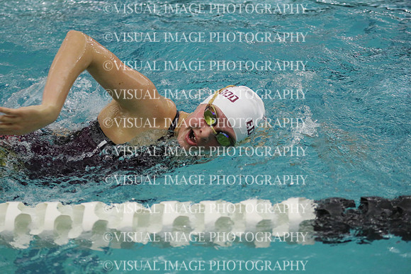 WISWG21_SWIM_20020