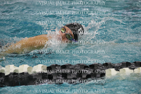 WISWG21_SWIM_20031