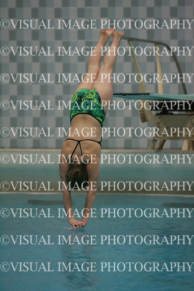 wiswg09_dive_2021