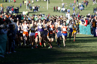 ILXC_13_30010