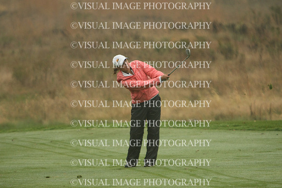 WIGFG_13_T110012