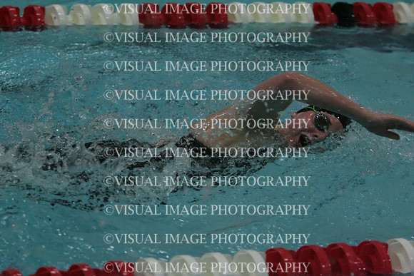 wiswg09_5free_2010