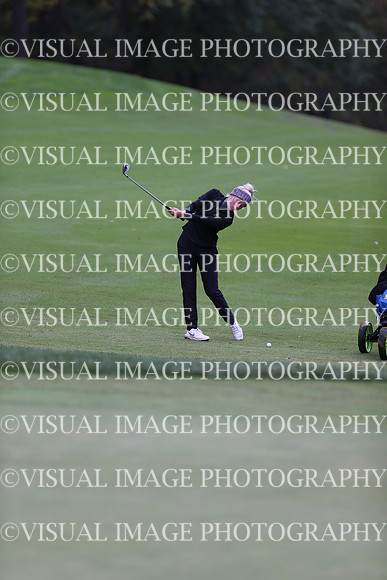 WIGFG_19_1008