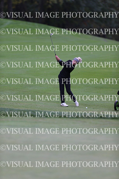 WIGFG_19_1010