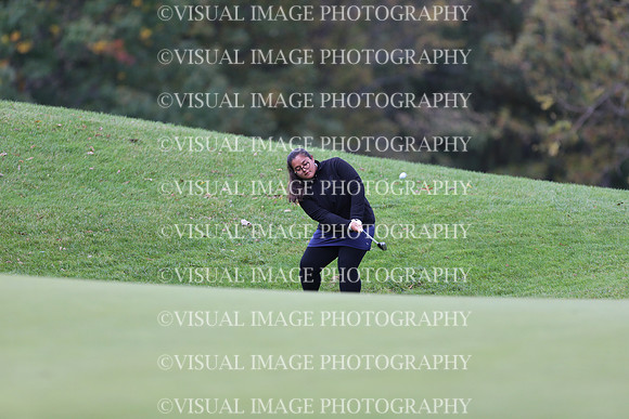 WIGFG_19_1017