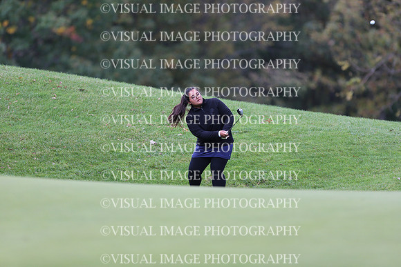 WIGFG_19_1020