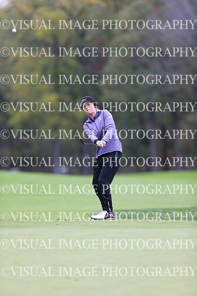 WIGFG_19_1037