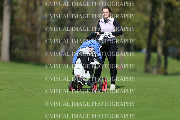 WIGFG_19_2023